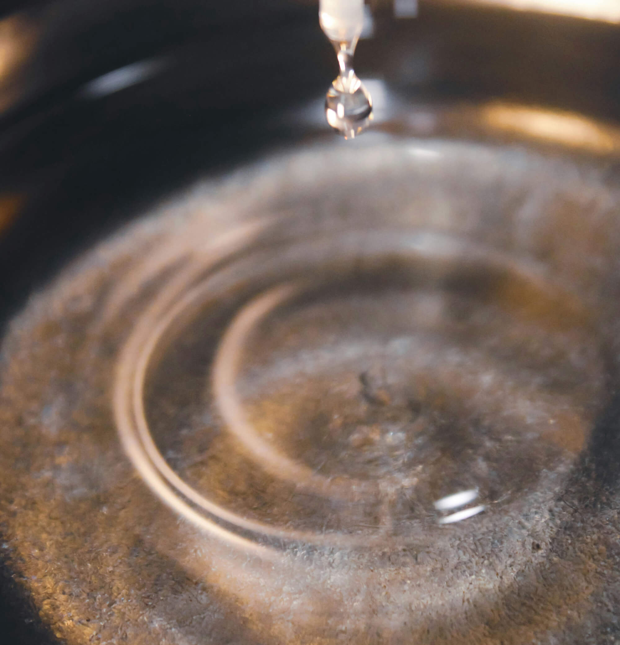 Create Your Signature Scent